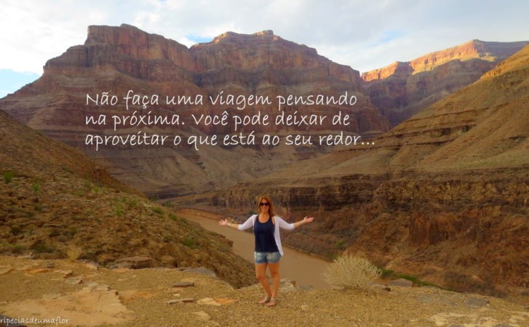 Frase da semana – Semana 23
