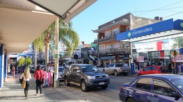 Rua Rivera 1