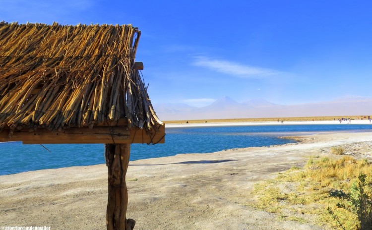 Laguna Cejar, Ojos del Salar e por do sol na Laguna Tebinquiche (Atacama) em uma tarde
