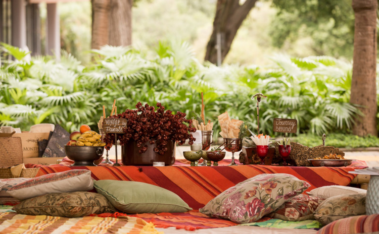 Picnic TL Portfolio – uma forma diferente de fazer networking