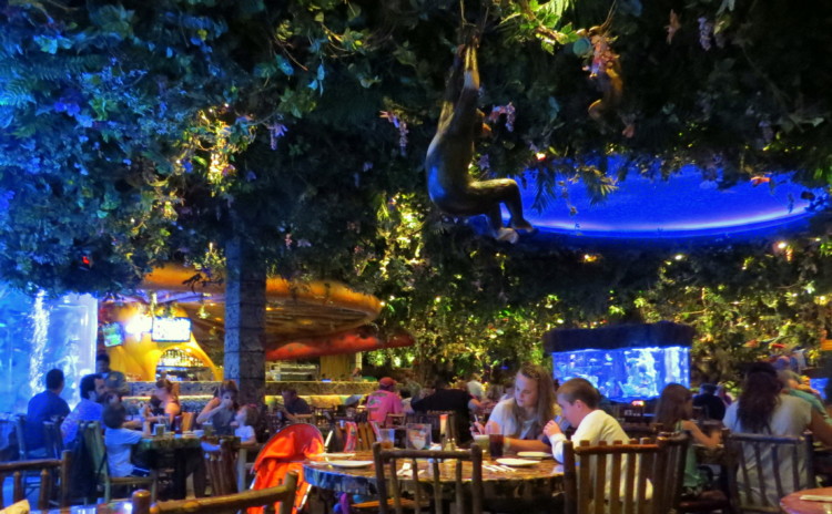 Rainforest Cafe – excelente opção para quem estiver com crianças em Orlando