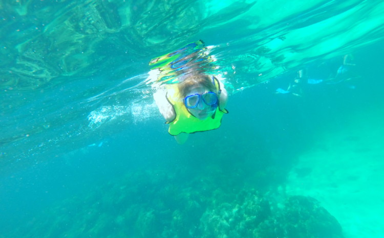 Mergulho em Islamorada no Robbie´s
