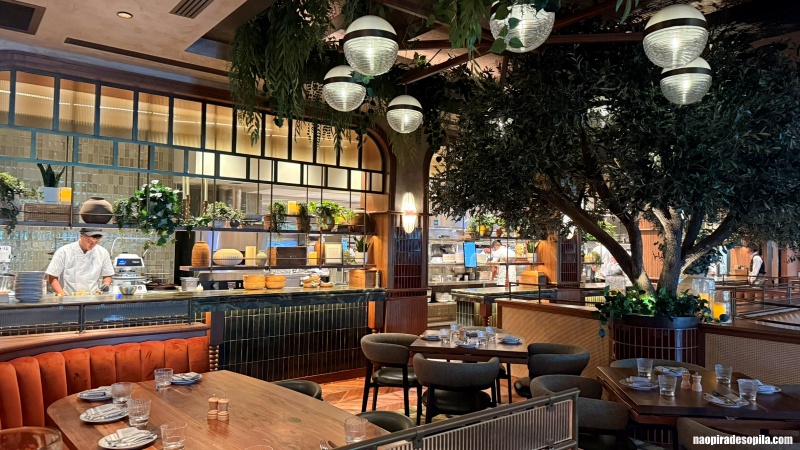 O que fazer em West Palm Beach, Palm Beach Gardens e seus arredores? 14 o que fazer em west palm beach restaurantes em west palm beach