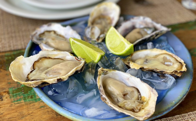 Restaurantes em Florianópolis