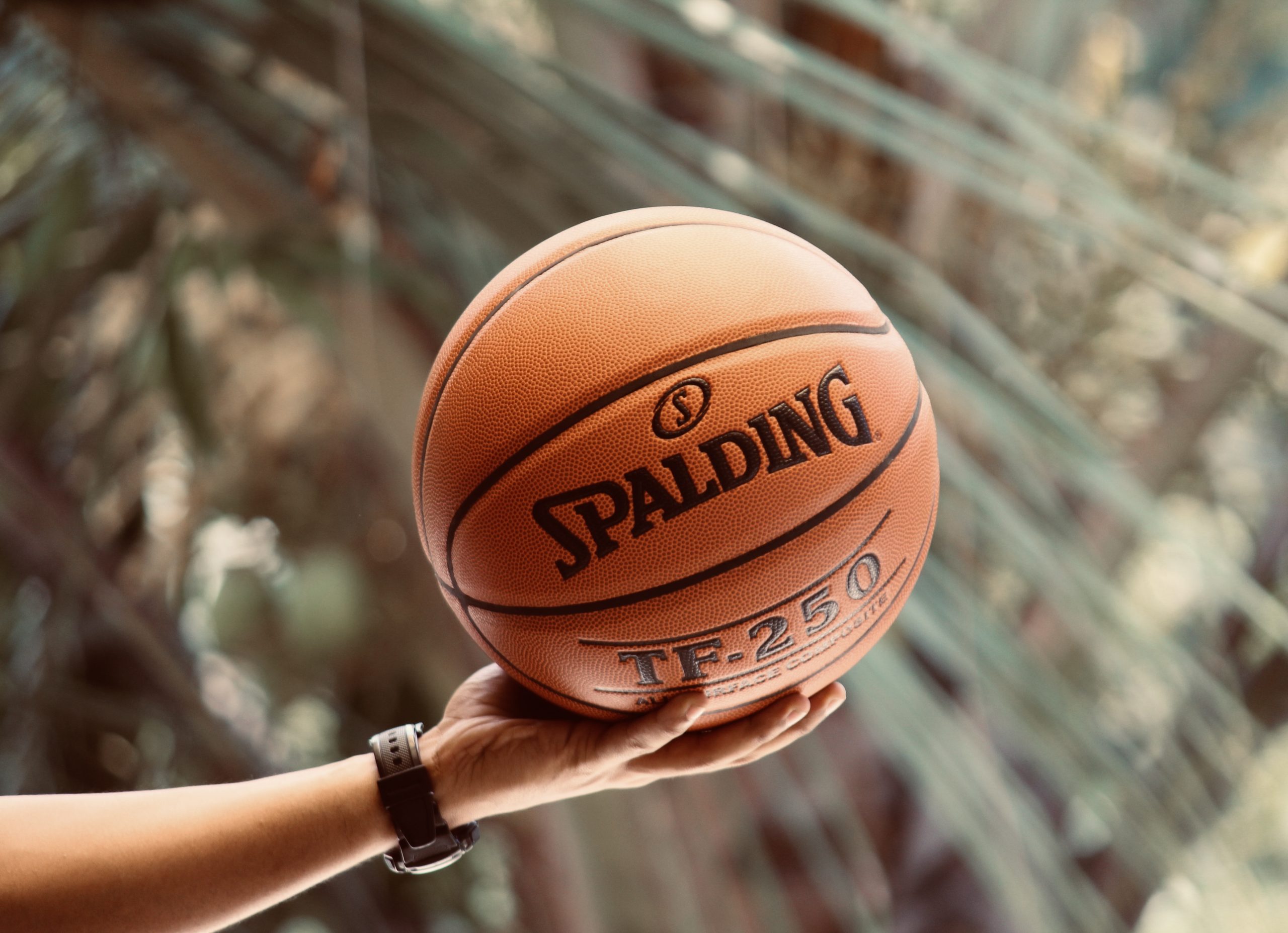 A Emoção de Assistir um Jogo da NBA em Orlando - Coisas de Orlando