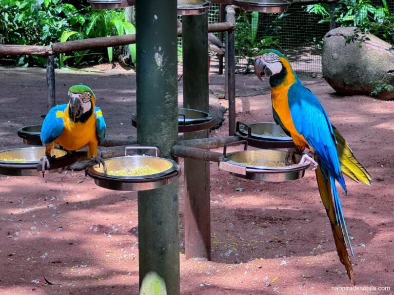 Parque das Aves