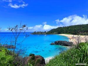 waimea bay beach leucemia