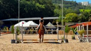 hipica manege alphaville