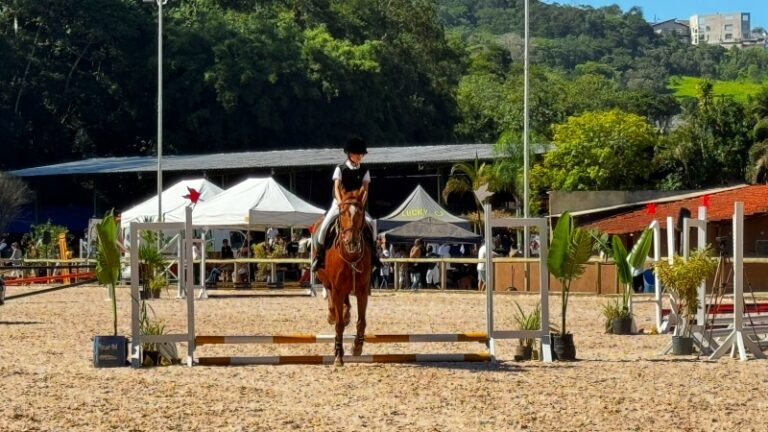 hipica manege alphaville